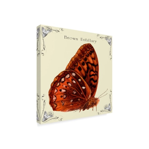 Sher Sester 'Butterfly Brown Fritillary' Canvas Art,18x18